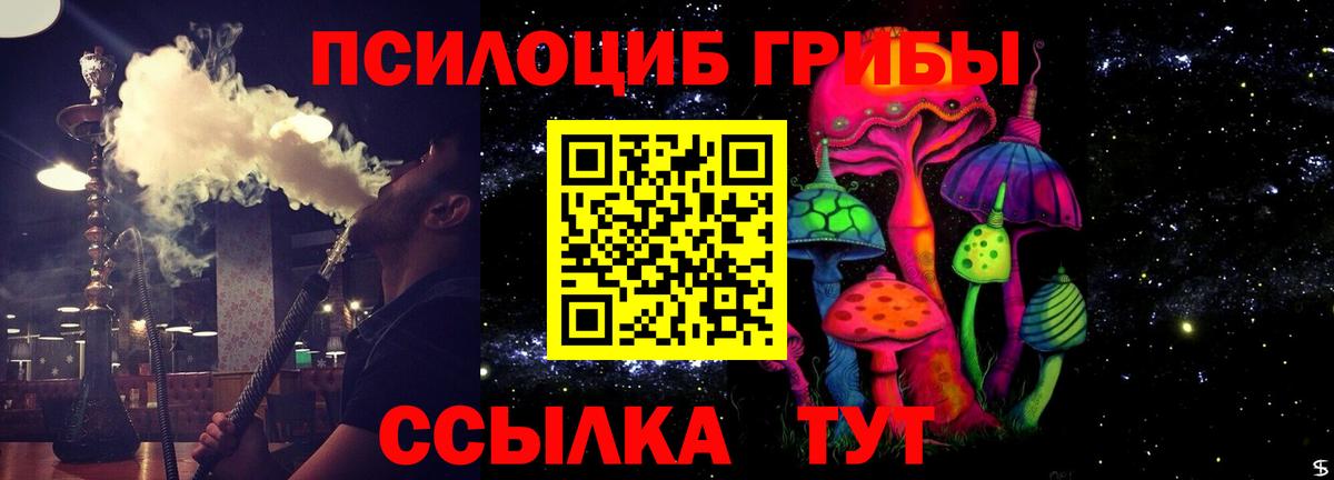 наркошоп  Псилоцибиновые грибы мухоморы  Псилоцибиновые грибы GOLDEN TEACHER  Вход с VPN  Скопин 